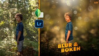 How To Create Blur With Bokeh Background In Snapseed And Lightroom Apps Android Iphone