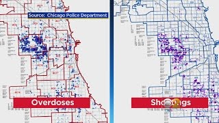 Famous Police Find Connection Between Opioid OD And Shootings During Raids Wealth
