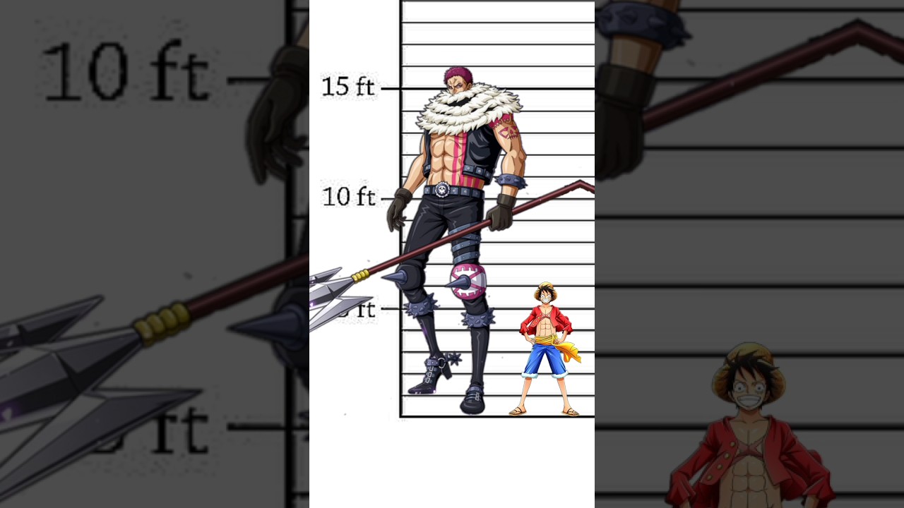 Luffys height comparison to One piece characters 