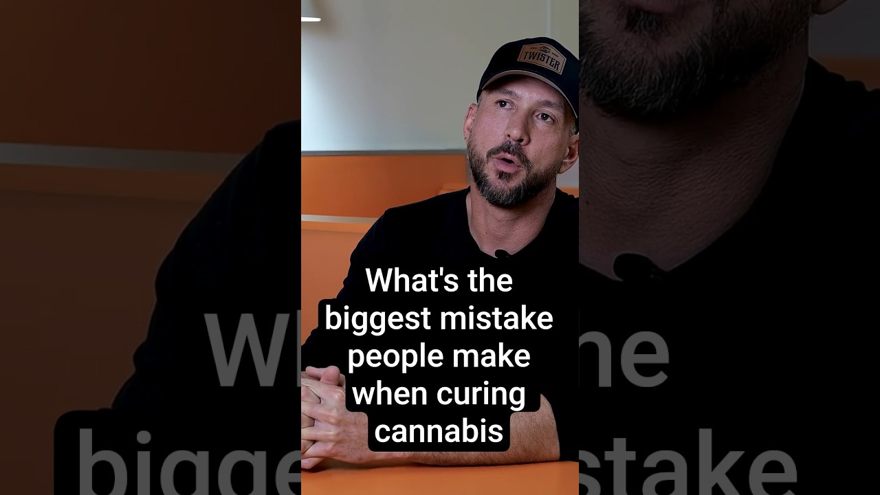 What's the biggest mistake people make when curing cannabis