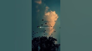 قرآن الكريم بصوت عبدالرحمن مسعد اجمل حالات واتس اب دينية سورة السجدة فيديو قصيره الي ستوريات 🌿🤍