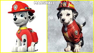 Paw Patrol Characters In Real Life by Paradizy 29,104 views 1 month ago 3 minutes, 12 seconds