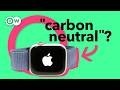 Understanding Corporate Net Zero Promises