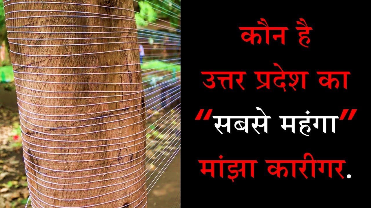 Best Manjha Maker of Allahabad