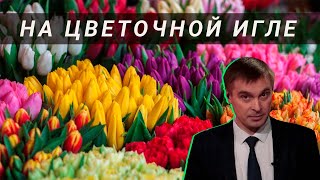 Чужая флора: импортные цветы доминируют на российском рынке