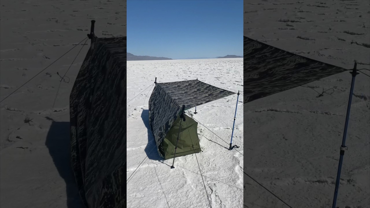 A hammock with NO TREES 😯 