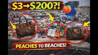 Our First Peaches to Beaches Was It Worth It
