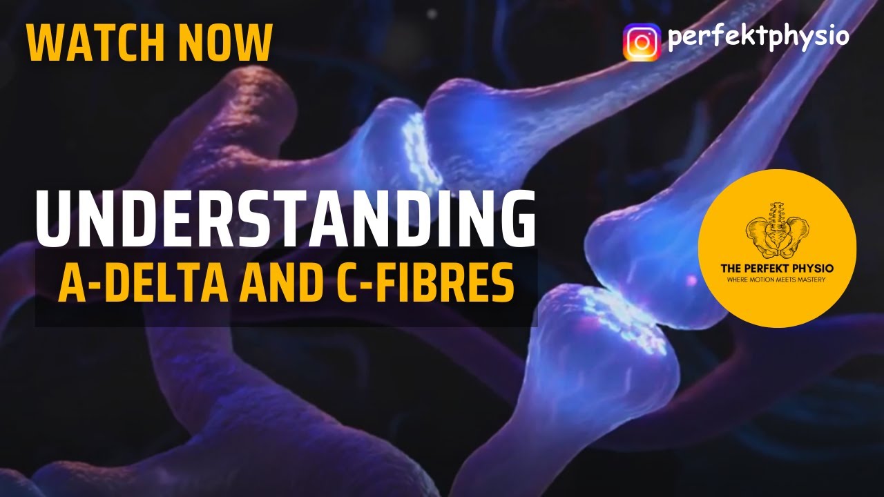 How Your Body Sends Pain Signals: A Delta & C Fibers Explained!