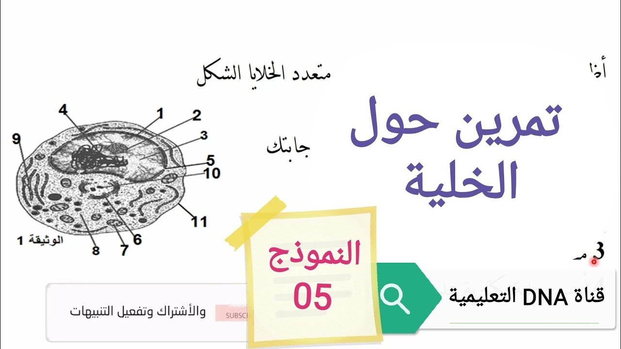 تمارين الخلية وحدة بنيوية للسنة الثانية ثانوي