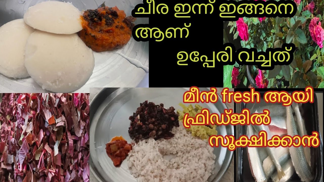 Day in my life malayalammalayali momcheera upperisimple life YouTube