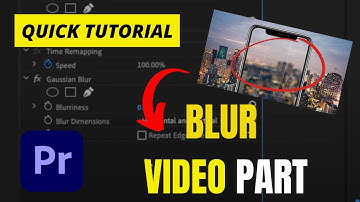 How to Blur  Specific Part of Video - Premiere Pro Simple Tutorial (2023)