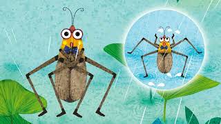 05 S1 L2 Ani A Waterproof