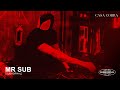 Mr sub en casa cobra guadalajara  dj set after hours