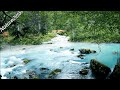 Peaceful Forest River - Relaxing Water Stream Sounds, 10 Hours, Nature Video, White Noise for Sleep.