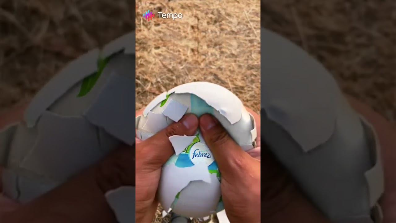 Cracking egg with slightly old febreze gain fabric 