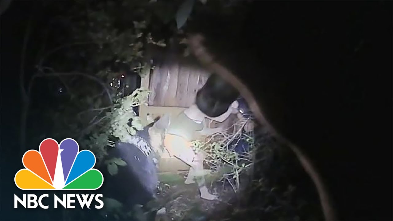 Video Shows Police Dog Bite Unarmed Texas Woman For 62 Seconds Video Shows Police Dog Bite Unarmed Texas Woman For 62 Seconds