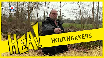 HEA! De handige houthakkers