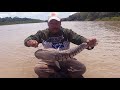 Pesca y Aventura en el rio Guaviare Bagre, Matacaiman, Cachama y mas...