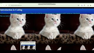 Lecture 13 frontend web development Wealth