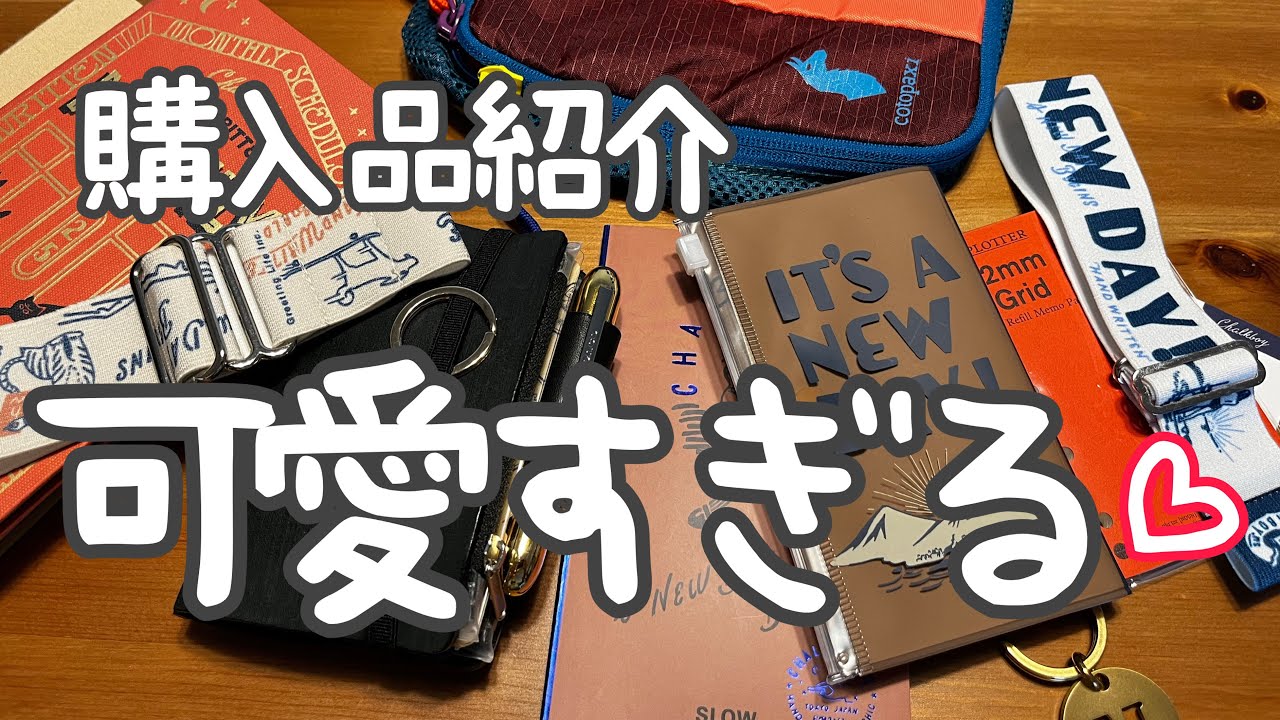 コトパクシなど🌈購入品💕【可愛すぎる❣️】No.215