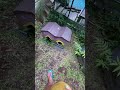 Tendang Apapun 256 | Tendang Rumah Kelinci #tendangapapun