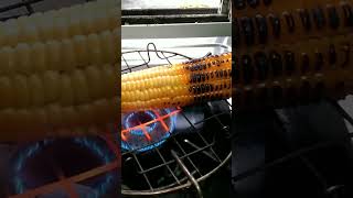 Makka Pakayo Aur Khayo