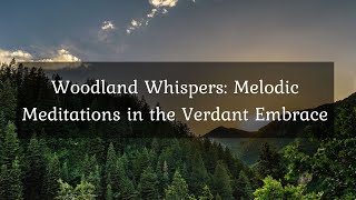 [] Woodland Whispers: Melodic Meditations in the Verdant Embrace • 4k Video UltraHD