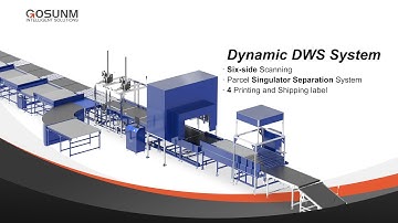 Dynamic Dws & Parcel singulator separation System with Printing and Shipping label