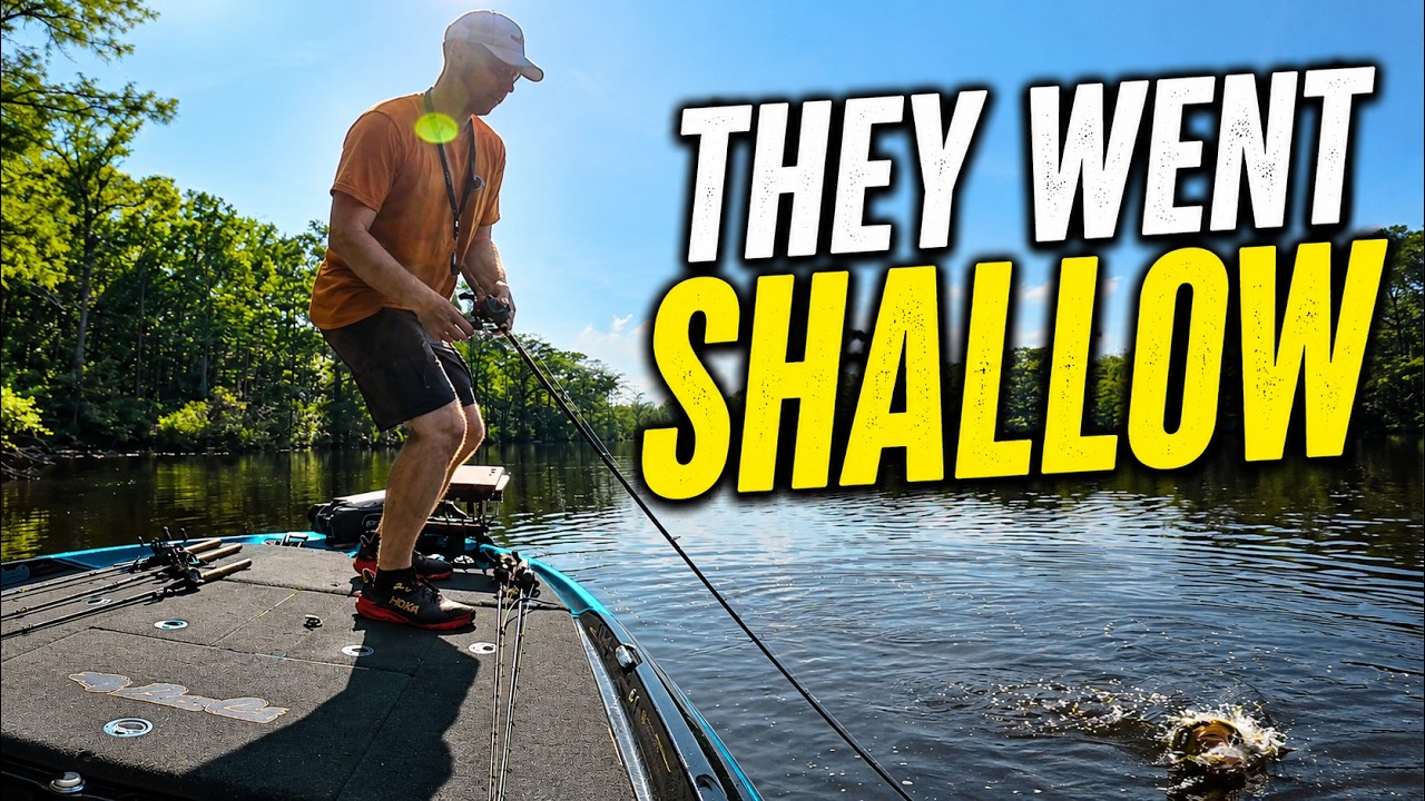 The Fish Told Me To Go Shallow (Chowan River Bass Fishing)