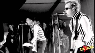 Video thumbnail of "The Toy Dolls - Nellie The Elephant & Toccata @ Zikenstock"