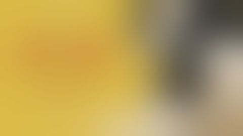 ドキュメンタリー映画『春の画 SHUNGA』予告篇【11.24（金）ロードショー】