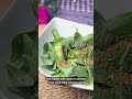 Why Spinach Is One of the Healthiest Foods Ever
