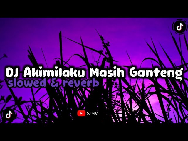 DJ Akimilaku Masih Ganteng - ( Slowed & Reverb ) class=