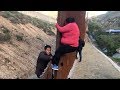 Illegal immigrants climb over Tijuana border fence in broad daylight