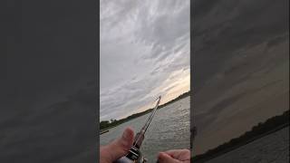 Bigswimbait Bass