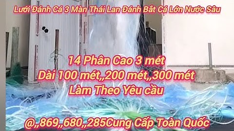 Lưới đánh cá duy chiến Lưới Đánh Cá 3 Màn Thái Lan Đánh Cá 14 Phân Cao 3 mét dài 100 m 200m 300m