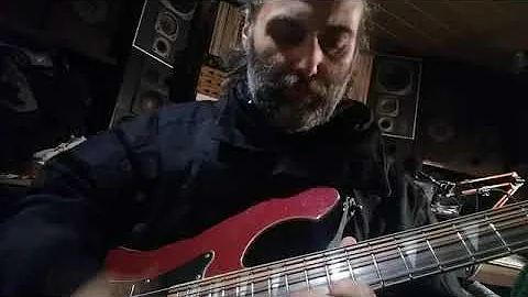 5 Rickenbacker Made by Stepanovich