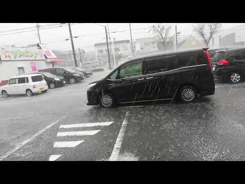 突然の衝撃的な大雨から大粒のみぞれが降って来る様子！