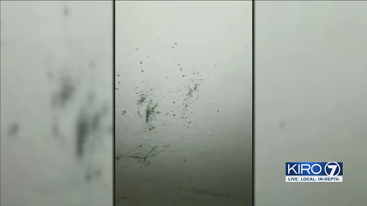 VIDEO: Woman says apartment is covered in mold, made her kids sick