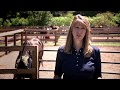 11P P HORSE RESCUE WVITJMUW