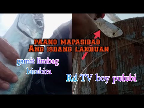Video: Mga Tampok Ng Pangingisda Gamit Ang Isang Echo Sounder
