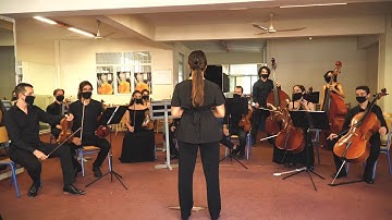 Felix Mendelssohn - String Symphony No. 7, in D minor 1st Movement.