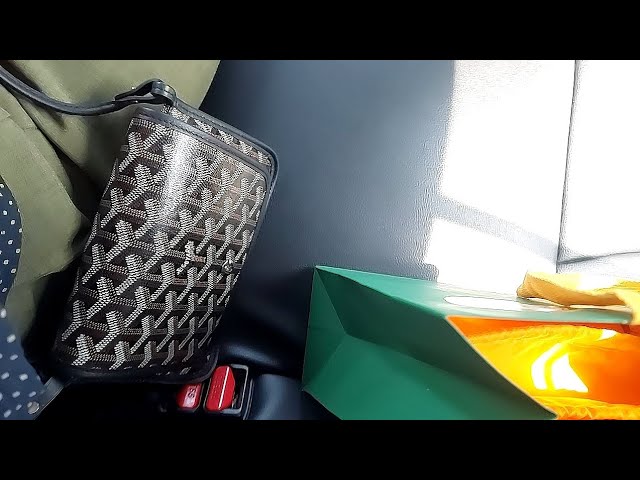 Goyard Boeing 25 Toilet Bag Gray Unboxing 