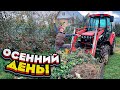 В деревне ВЕСЕЛО, а СКУЧАТЬ некогда! Переселяем птиц! | Молодая Ферма