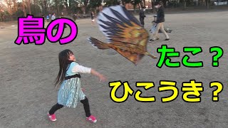 手作りタコと鳥のタコ　eagle kite