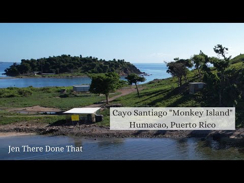 Cayo Santiago "Monkey Island" Humacao Drone flight | Travel Puerto Rico | 2022 December