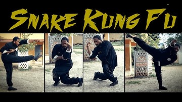 Shaolin Kung Fu Snake Style | Snake Fist Kung Fu Training | Snake Style Kung Fu - Conditioning |