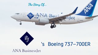 The Story Of The Rare Boeing 737-700ER