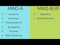 MAO Inhibitors (MAOI) -  Overview and How They Work