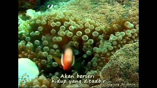 Download Lagu SENANDUNG HIDUP BERBUDI Ramli Sarip \u0026 Jay Jay EDITED MP3 Download Lagu SENANDUNG HIDUP BERBUDI Ramli Sarip \u0026 Jay Jay EDITED MP3